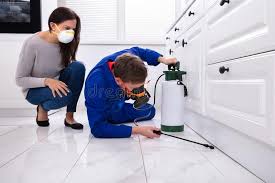 Best Bed Bug Extermination  in Alturas, FL